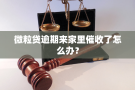 宽甸企业清欠服务